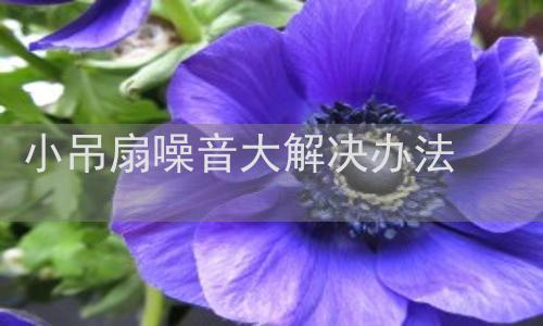 小吊扇噪音大解决办法-【宏润声学】